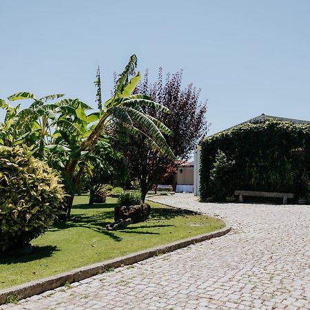 Casa Dos Meus Avos -Villas - Gaia & Porto Vila Nova de Gaia Exteriér fotografie
