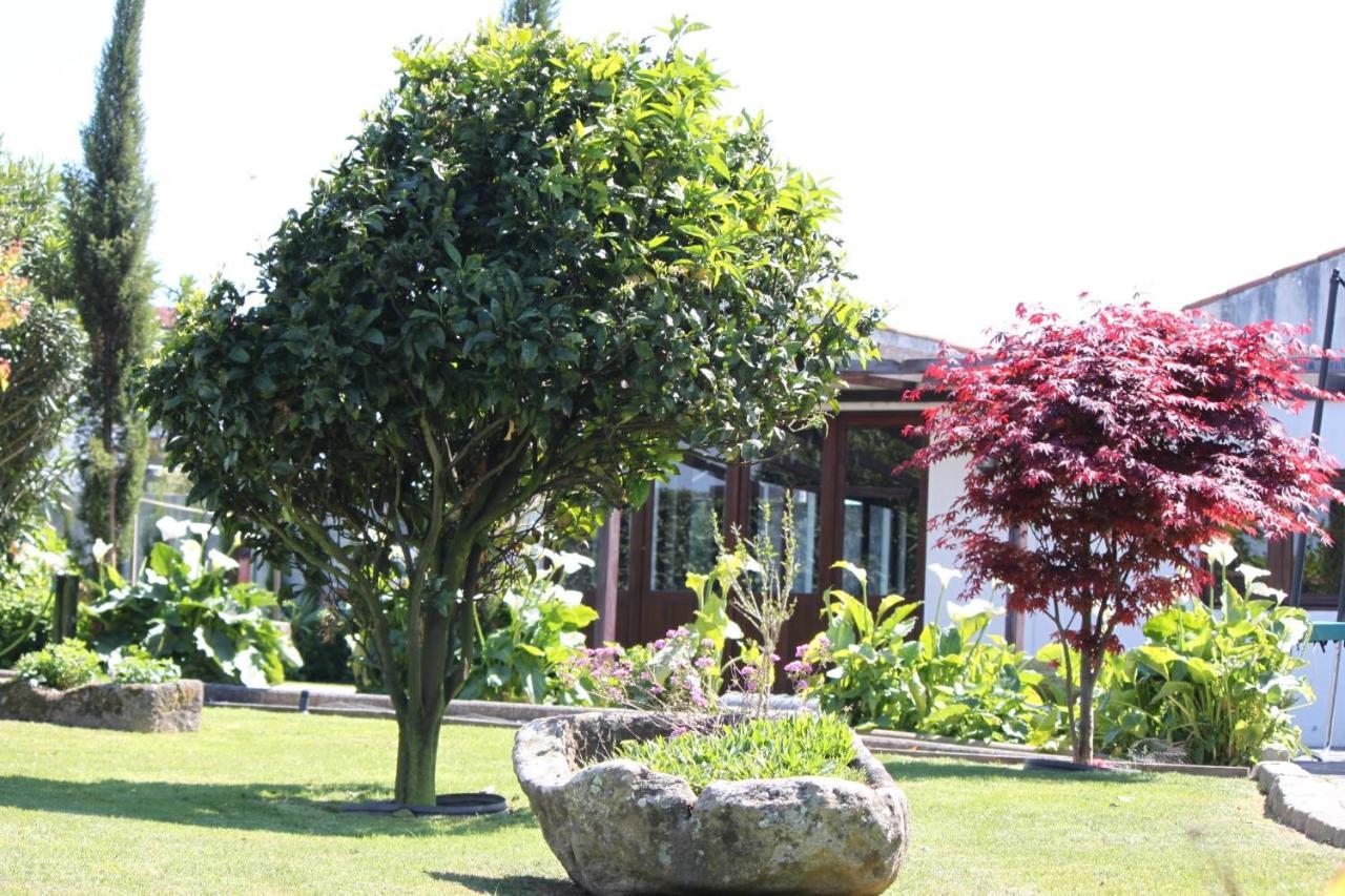 Casa Dos Meus Avos -Villas - Gaia & Porto Vila Nova de Gaia Exteriér fotografie
